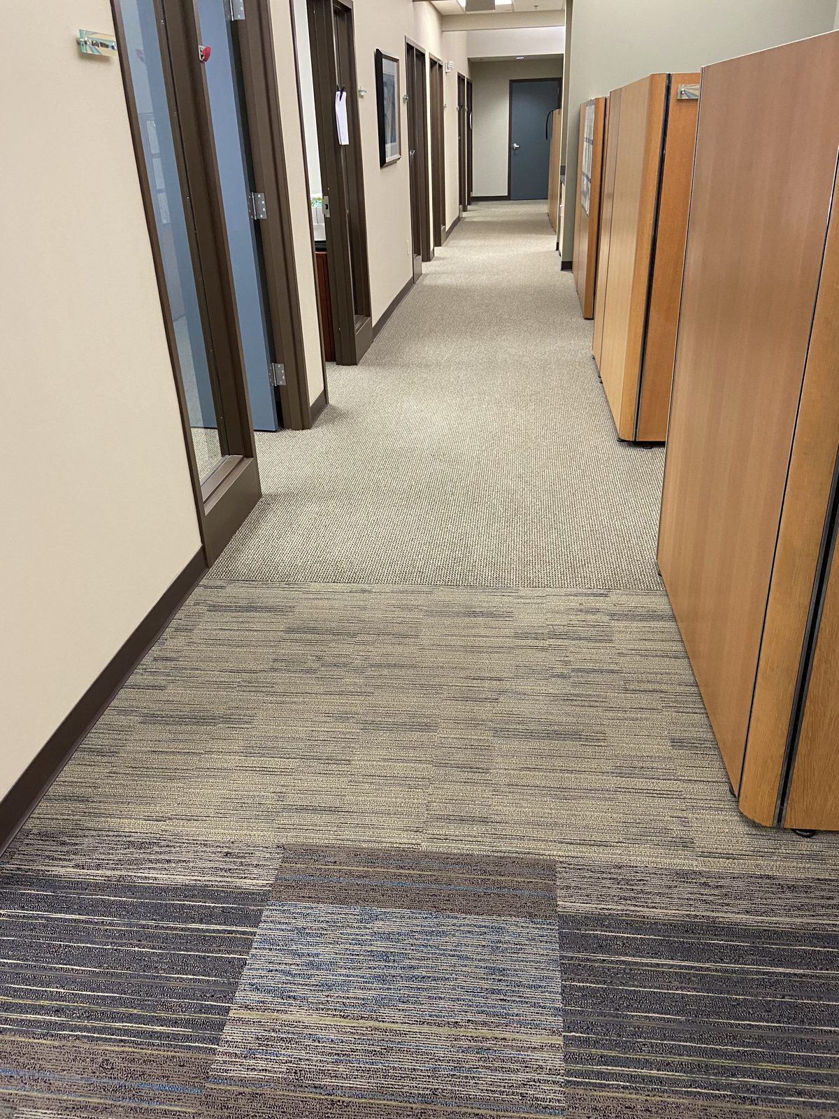Carpet Cleaning by Hinsley Cleaning Group